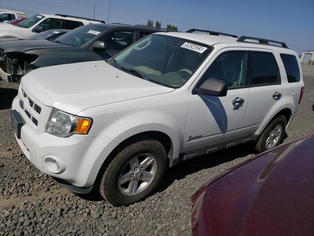 2011 Ford Escape Hybrid