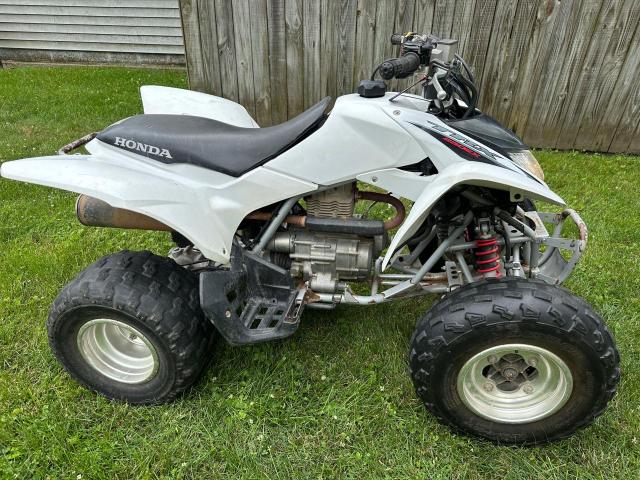 2008 HONDA TRX250 EX - 1HFTE270884702061