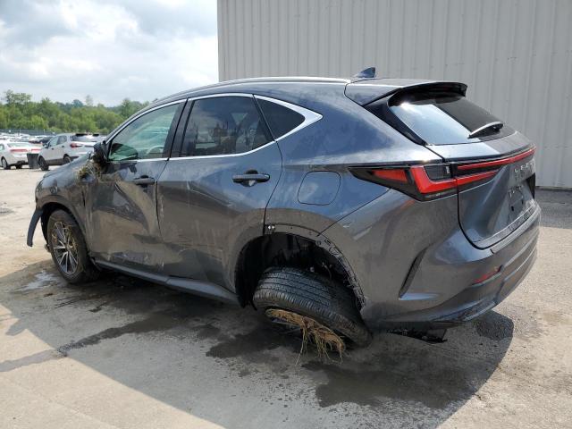 2023 LEXUS NX 250 2T2ADCEZ5PC003991