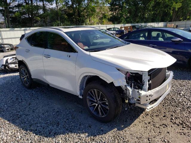 2024 LEXUS NX 350H BA - 2T2AKCEZ1RC016570