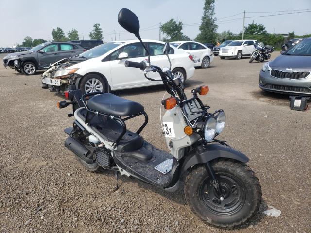 Honda Ruckus nps50