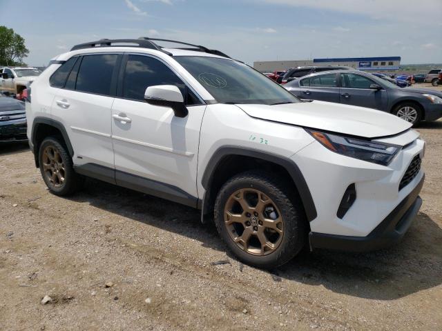 2023 TOYOTA RAV4 WOODL - 2T3UWRFV2PW156053