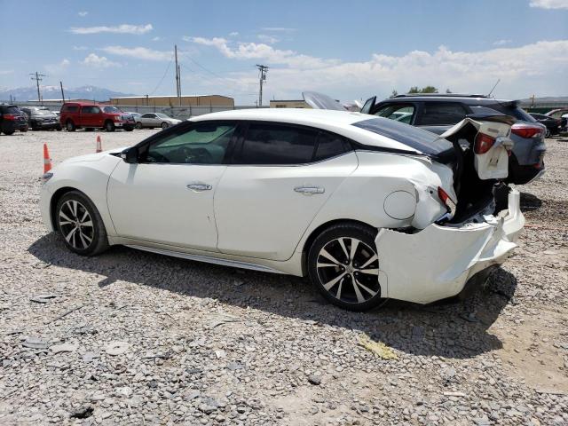 1N4AA6APXHC380240 Nissan Maxima 3.5s
