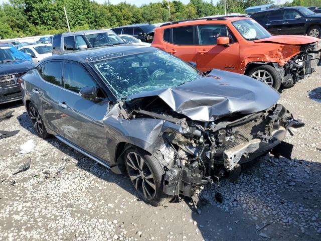 1N4AA6AP8JC407795 Nissan Maxima 3.5s