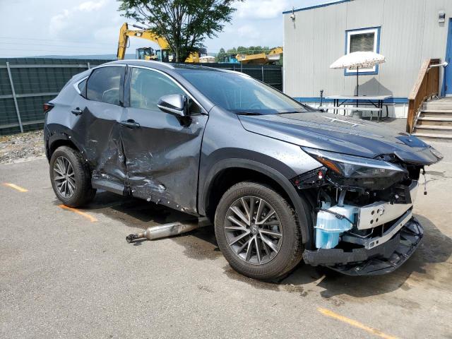 2023 LEXUS NX 250 2T2ADCEZ5PC003991