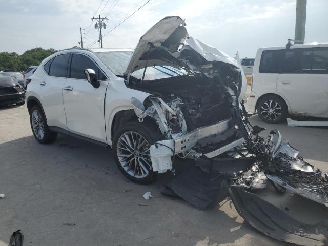 2022 LEXUS NX 350 JTJGGCEZ2N2000450