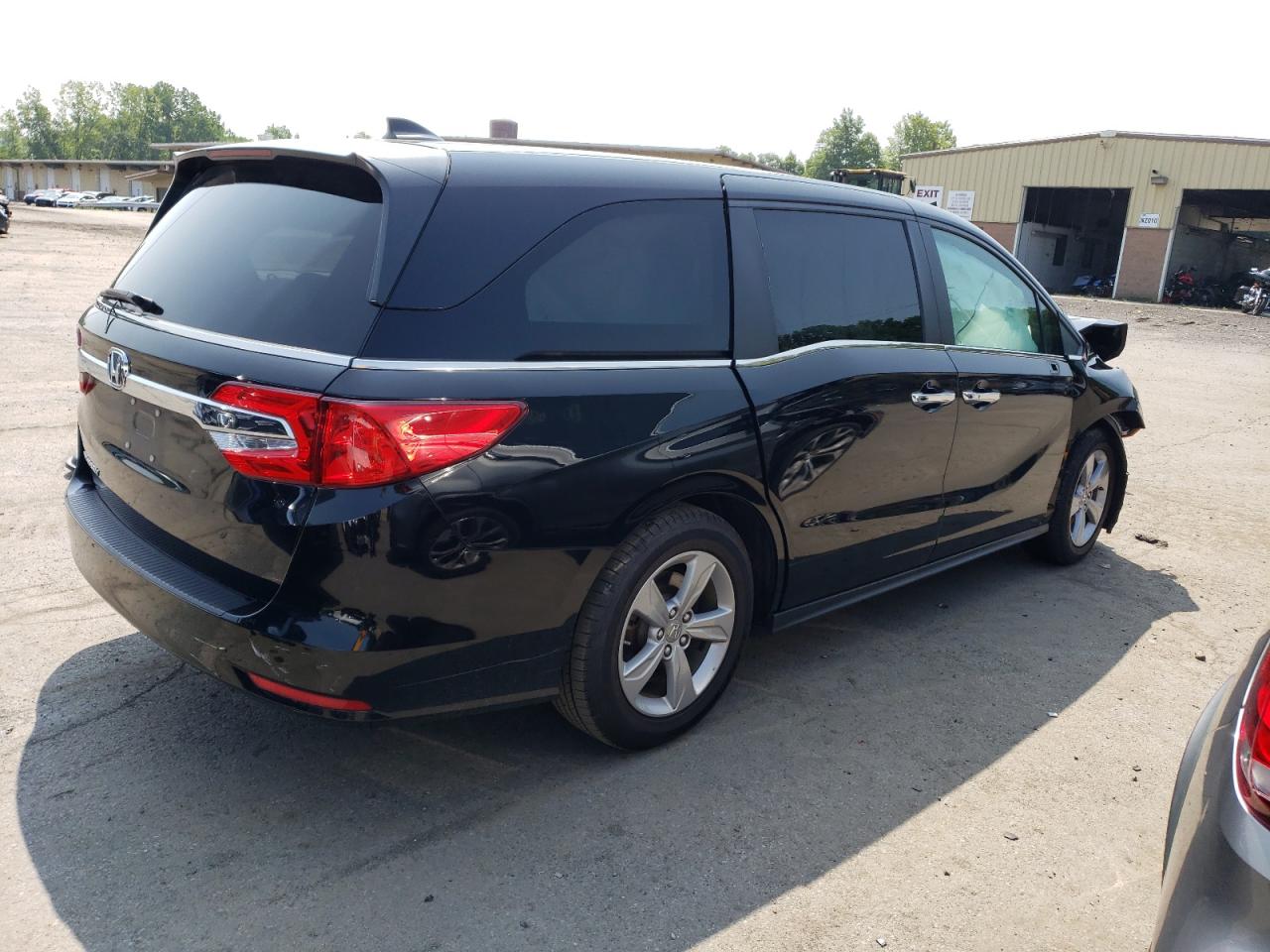 VIN: 5FNRL6H76KB033446 2019 HONDA All Models