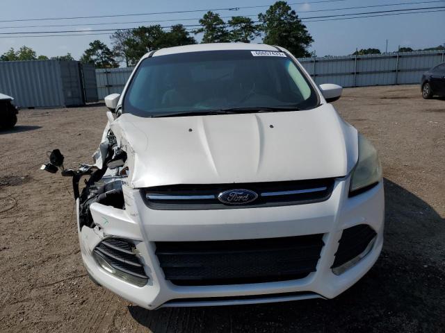 1FMCU0GX1EUA89786 Ford ESCAPE SE