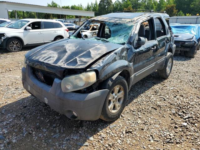 2007 Ford Escape XLT