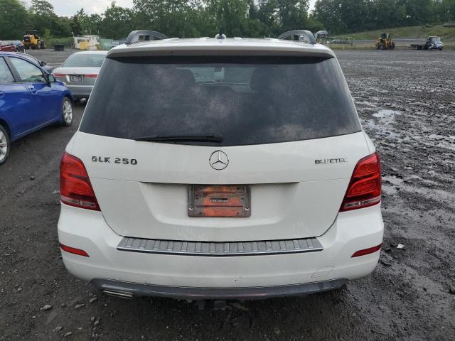 2015 MERCEDES-BENZ GLK 250 BL - WDCGG0EB5FG406130