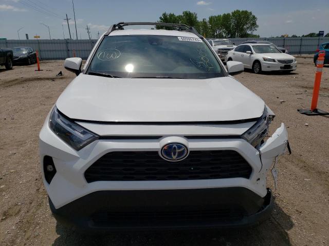 2023 TOYOTA RAV4 WOODL - 2T3UWRFV2PW156053