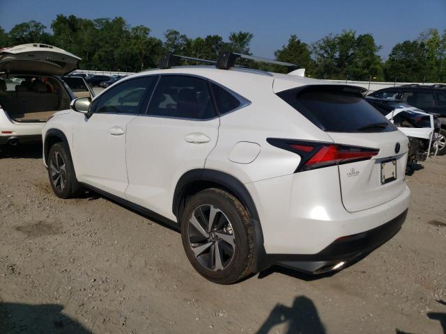 2020 LEXUS NX 300 JTJGARBZ5L5008076