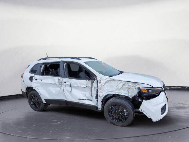 2023 JEEP CHEROKEE A 1C4PJMMB1PD112193
