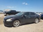 NISSAN MAXIMA S photo