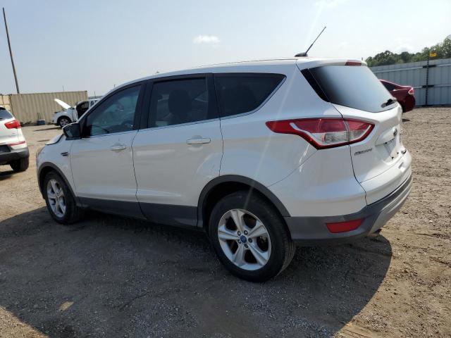 1FMCU0GX1EUA89786 Ford ESCAPE SE