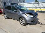 FORD ESCAPE SEL photo