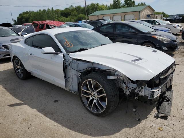 1FA6P8CF6K5116643 Ford All Models MUSTANG 4