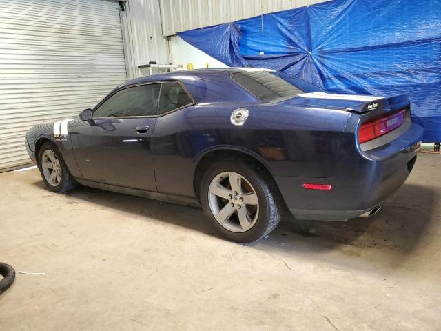 2013 Dodge Challenger R/T VIN: 2C3CDYBT5DH724568 Lot: 58989453