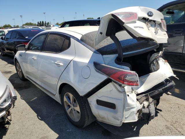 KNAGM4AD0G5096170 KIA OPTIMA HYBRID