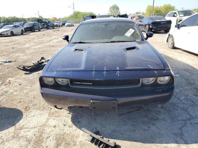 2014 Dodge Challenger Sxt VIN: 2C3CDYAG7EH247700 Lot: 61155873