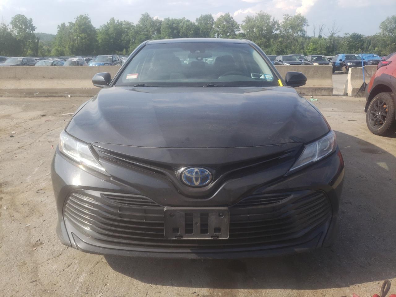 2019 Toyota Camry Le vin: 4T1B31HK4KU006256