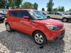 KIA SOUL photo