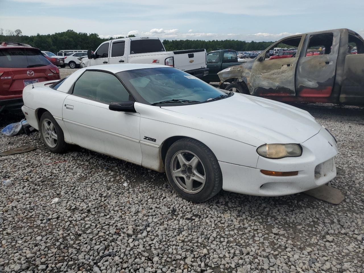 Lot #3023327277 1997 CHEVROLET CAMARO BAS