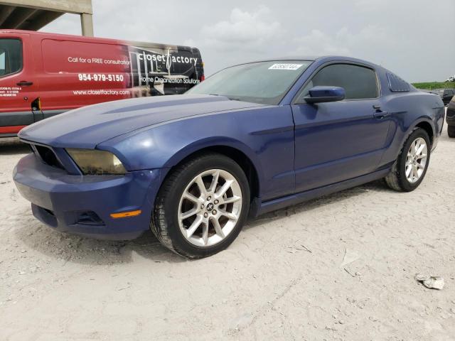 2010 Ford Mustang VIN: 1ZVBP8AN8A5165177 Lot: 62850744