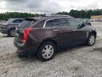 CADILLAC SRX LUXURY photo