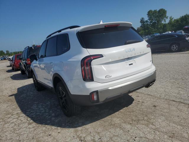 2023 KIA TELLURIDE - 5XYP5DGC6PG401886