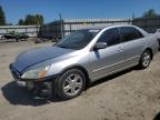 1HGCM56346A109226 2006 Honda Accord Se