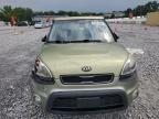 KIA SOUL + photo