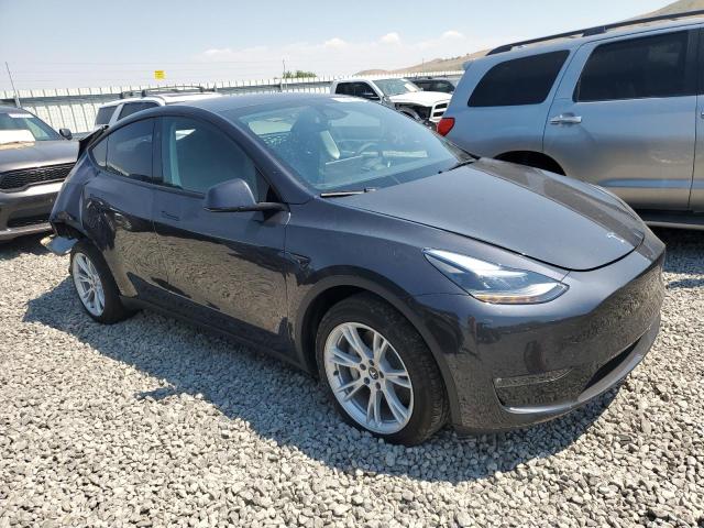 2024 TESLA MODEL Y - 7SAYGDEE1RF064558
