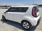 KIA SOUL + photo