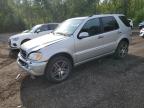 MERCEDES-BENZ ML 500 photo