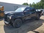 2023 TOYOTA TUNDRA CRE - 5TFJA5DB9PX124182