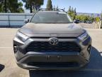 TOYOTA RAV4 XLE P photo