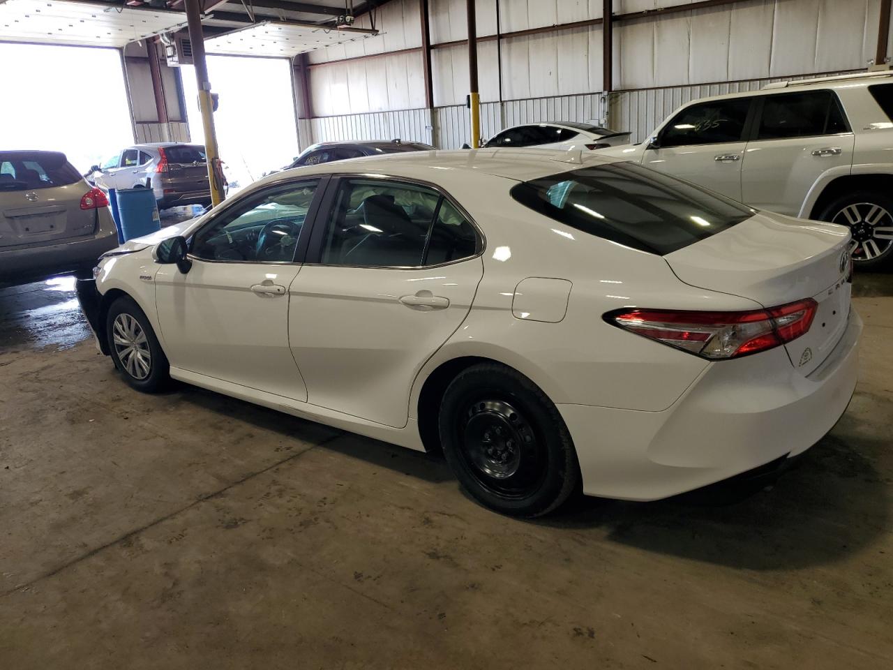 2019 Toyota Camry Le vin: 4T1B31HK5KU515756