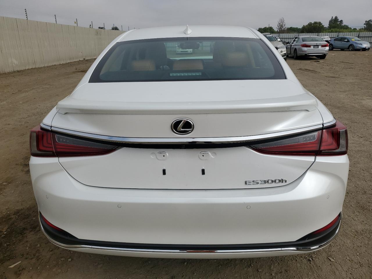 58ADA1C16RU047486 Lexus Es300 2024. Фото: 5