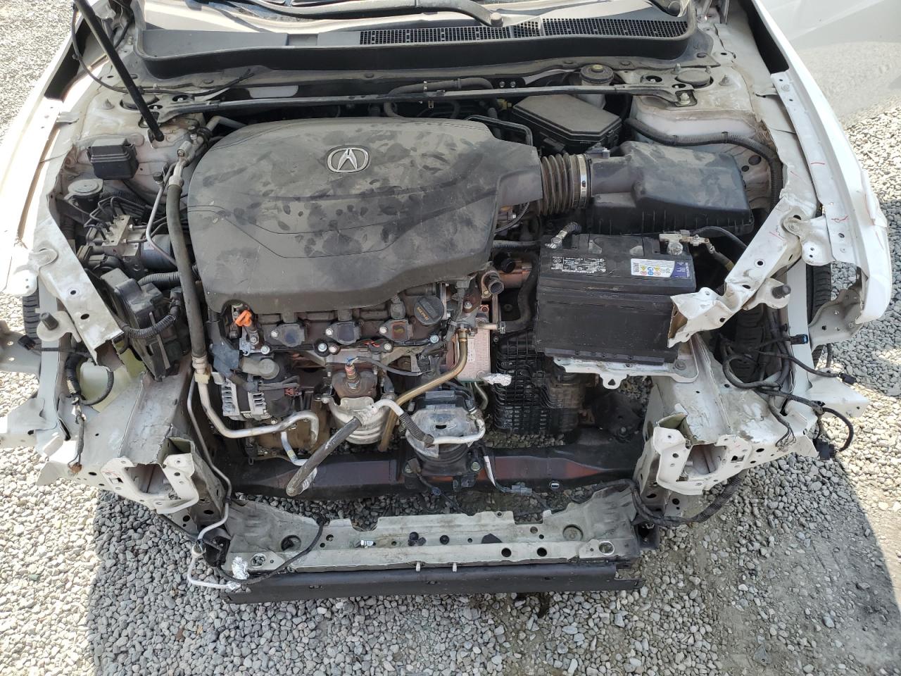 19UUB2F52FA005795 2015 Acura Tlx Tech