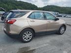 CHEVROLET EQUINOX LS photo