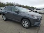 TOYOTA RAV4 LE photo