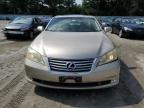 LEXUS ES 350 photo