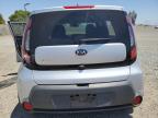 KIA SOUL + photo