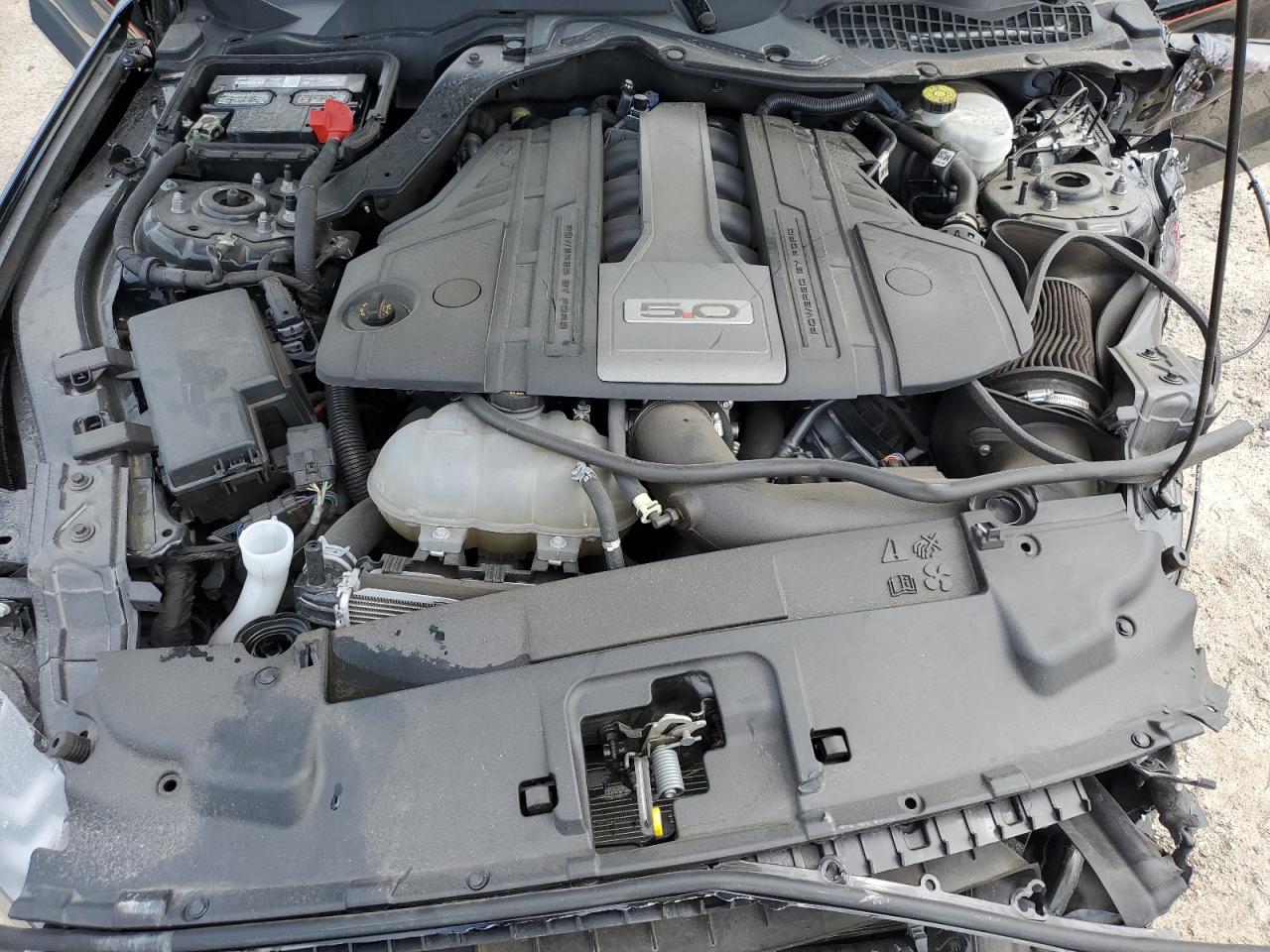 1FA6P8CF8K5199878 2019 Ford Mustang Gt