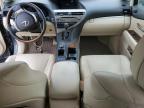 LEXUS RX 350 BAS photo