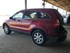 HONDA CR-V SE photo