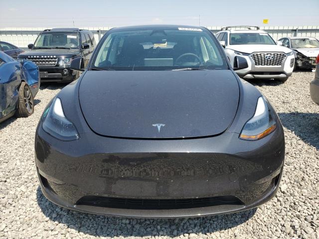 2024 TESLA MODEL Y - 7SAYGDEE1RF064558