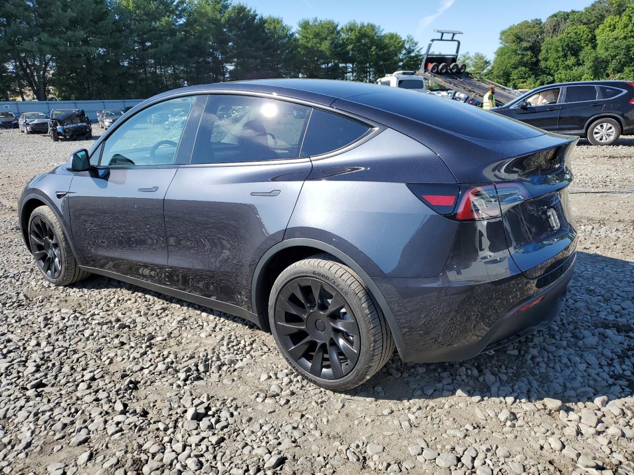 Lot #2952911868 2024 TESLA MODEL Y