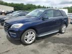 MERCEDES-BENZ ML 350 BLU photo